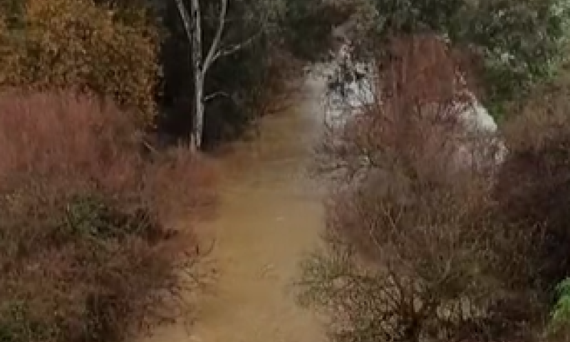 עם שוך הסערה: תיעוד מרהיב מנהר הירדן. צפו