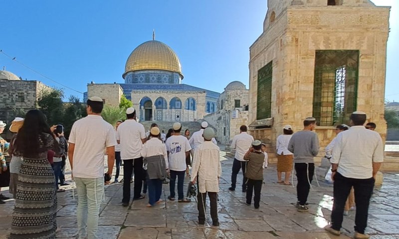 "לחקור את תקיפת היהודי בהר הבית כמעשה טרור"