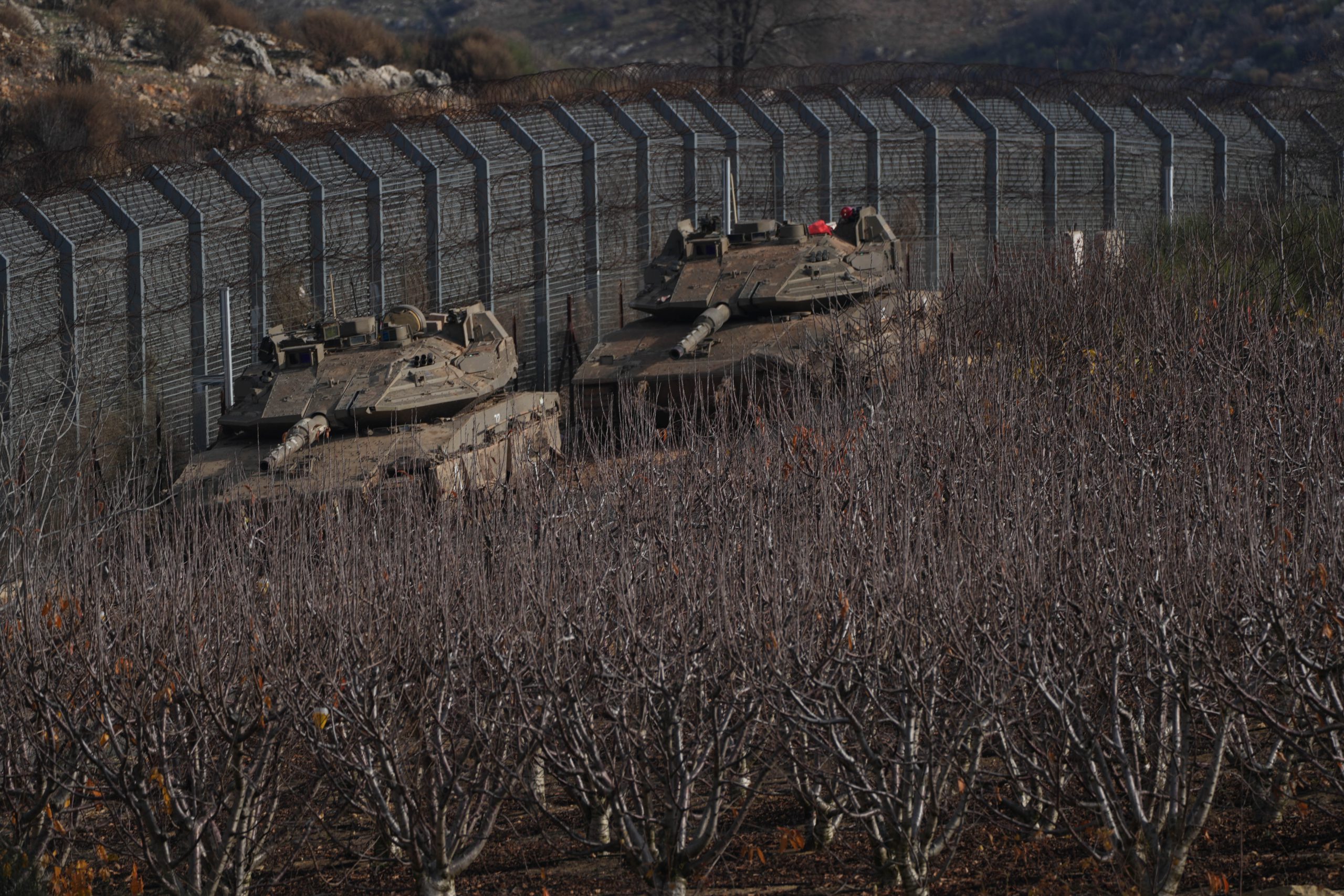 אייל מרגולין/פלאש90