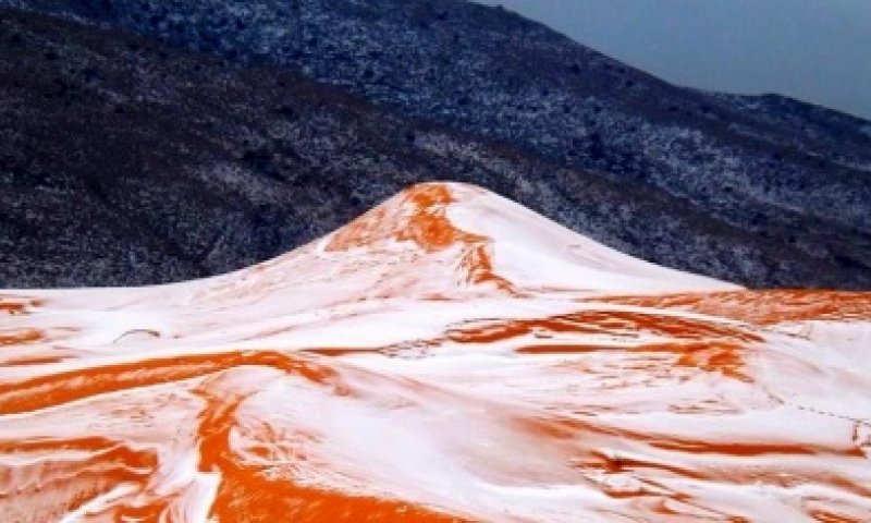 תופעה נדירה: שלג במדבר החם בעולם&bull;צפו