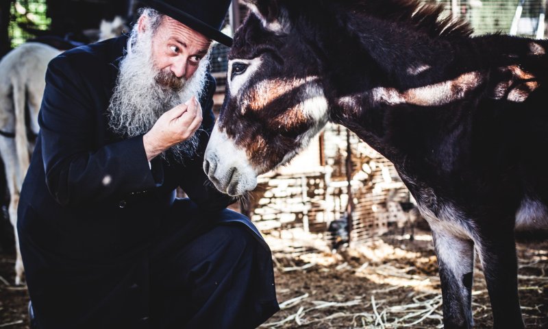 מביא את המשיח: שולי רנד בסינגל חדש&bull; צפו