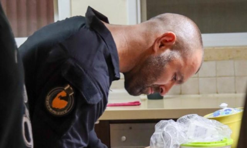 איש חיי לילה הופעל כסוכן סמוי והביא למעצר סוחרים