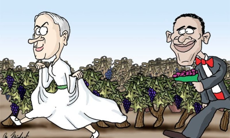 הקריקטורה היומית של אור רייכרט: ט"ו באב