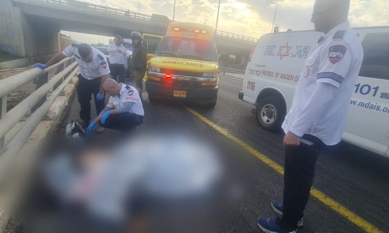 אסון על הכביש: זוג מבוגרים נהרגו מפגיעת משאית בצפון