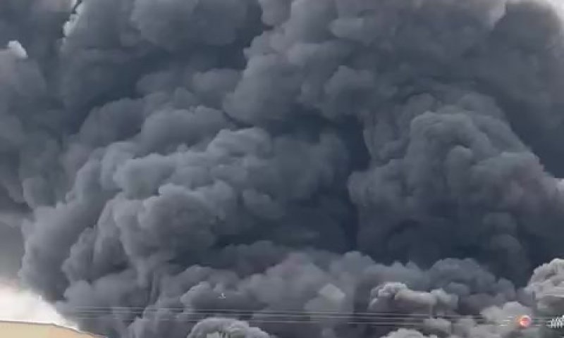השריפה בבקעת הירדן: בתי ספר ועובדים בסיכון פונו