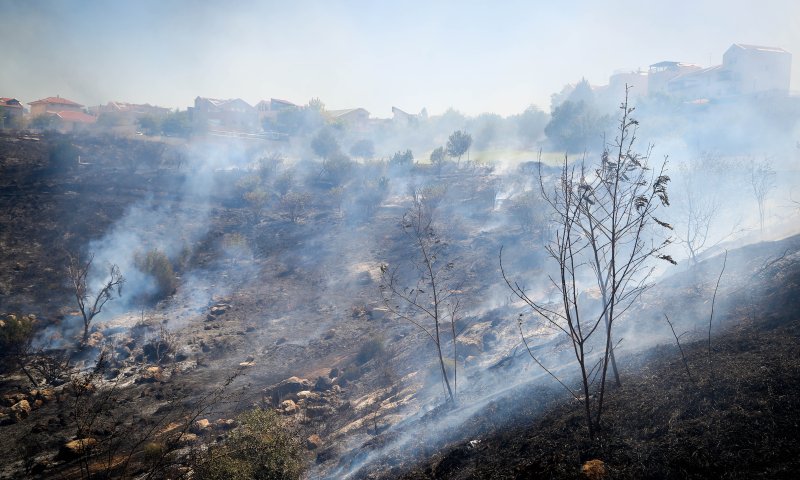 שריפה ביער בית שמש: הכנות לפינוי קיבוץ נחשון