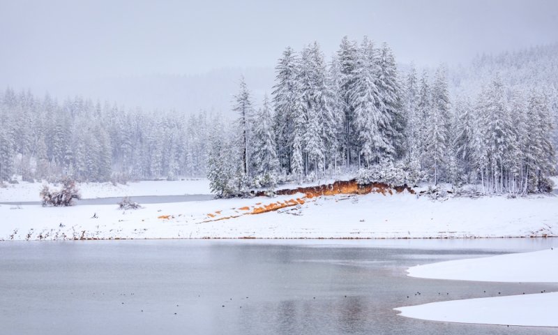 שלג נדיר בלוס אנג'לס: אלפי בתים נותקו מחשמל