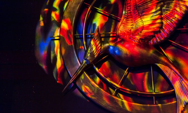 משחקי הרעב שמחים | 10 דברים שלא ידעתם על הסרט