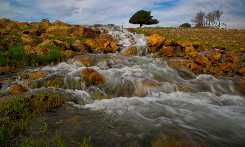 בגלל זיהום: 10 נחלים ברמת הגולן אסורים לכניסה