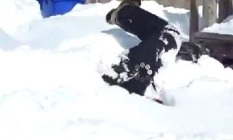 ככה עושים גלגולי שלג