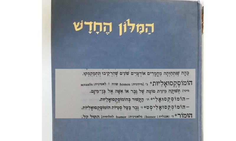 לפי מילון אבן שושן, הרב יגאל לוינשטיין צודק