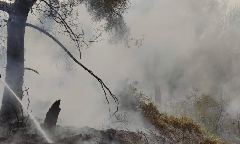 שריפה משתוללת בהרי ירושלים בסמוך לכביש 1