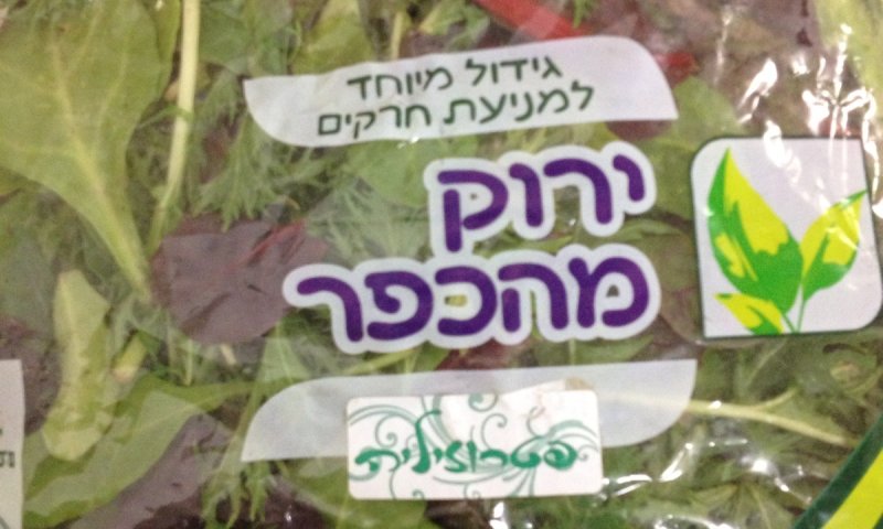 בזכות חיפושית, הרבנות תפסה זייפן כשרות