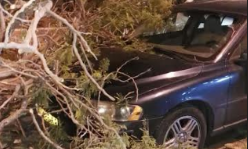 שטפונות, חסימת כבישים וקריסת עצים ברחבי הארץ