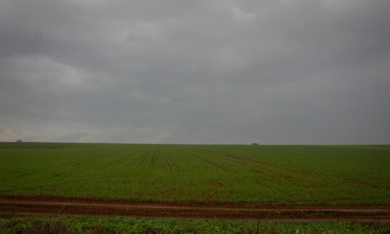 חריג | גשם, רעמים וברד: תחזית מזג אוויר לסופ"ש