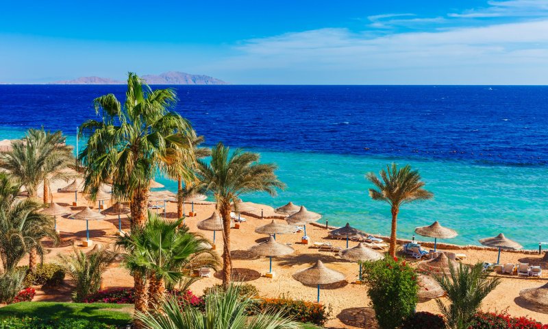 4 מיליון בנתב"ג: זה היעד הכי מבוקש של הישראלים