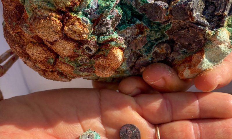 עשה קמפינג בחוף הים ומצא מטמון בן 1,700 שנה