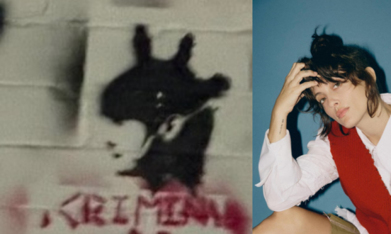 נגה ארז חושפת: איומים ואלימות מחוץ להופעה במקסיקו סיטי