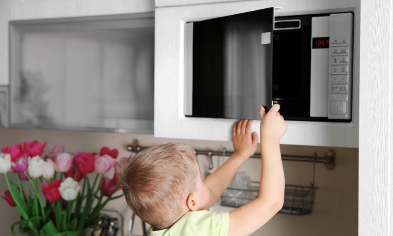 רץ ברשת: הזוי שזה מה שקורה לדברים במיקרוגל