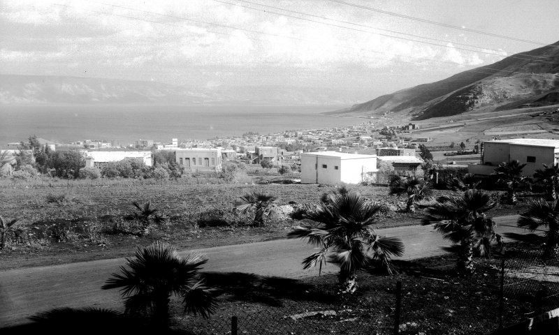 היום בהיסטוריה: הקריבה חייה למען הצלת חיי יהודים