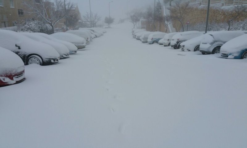 פתיתי שלג מהצפון עד הדרום