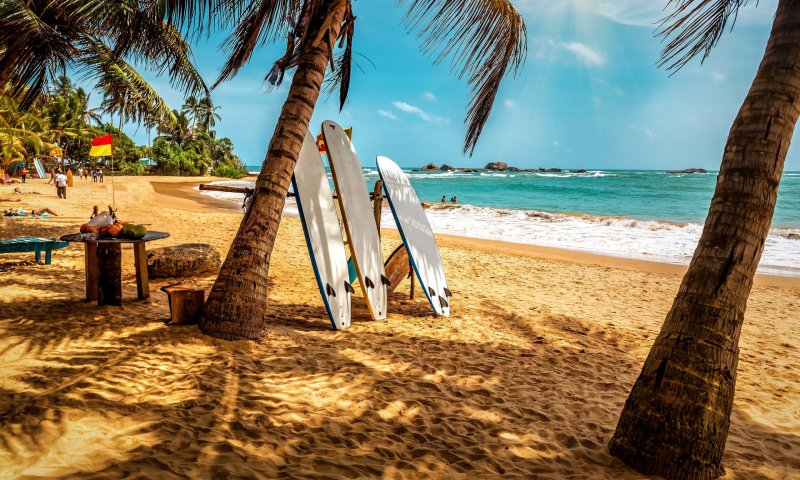 לצאת במיידי: המל"ל באזהרה לישראלים השוהים בסרי לנקה