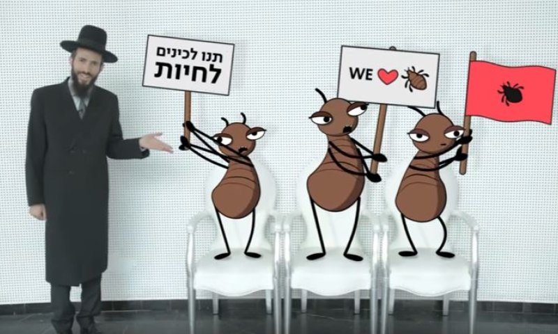 שו"ת מצולם: האם מותר להרוג כינים בשבת?