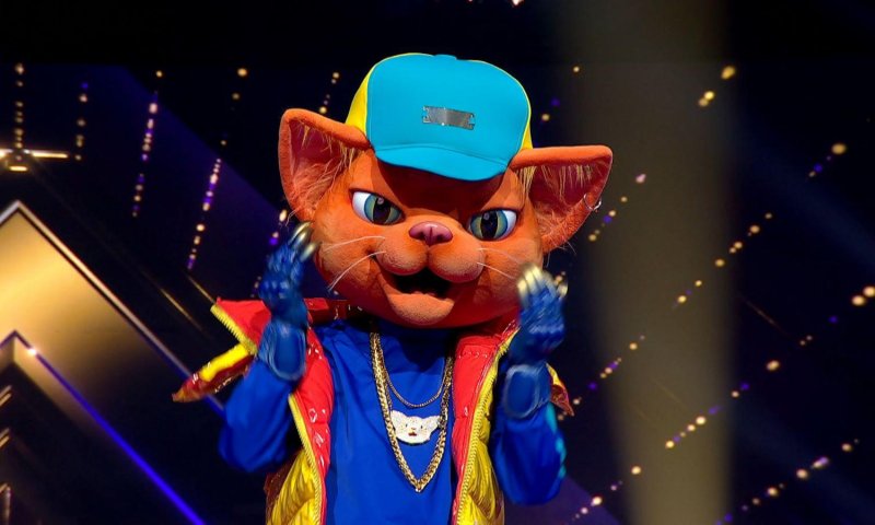 אם פספסתם, זה הנחשף השני ב'זמר במסכה': החתול