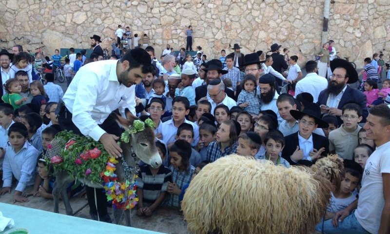 פדיון פטר חמור נערך בתל ציון