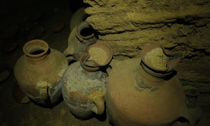 מערת קבורה מימי פרעה התגלתה בחוף פלמחים