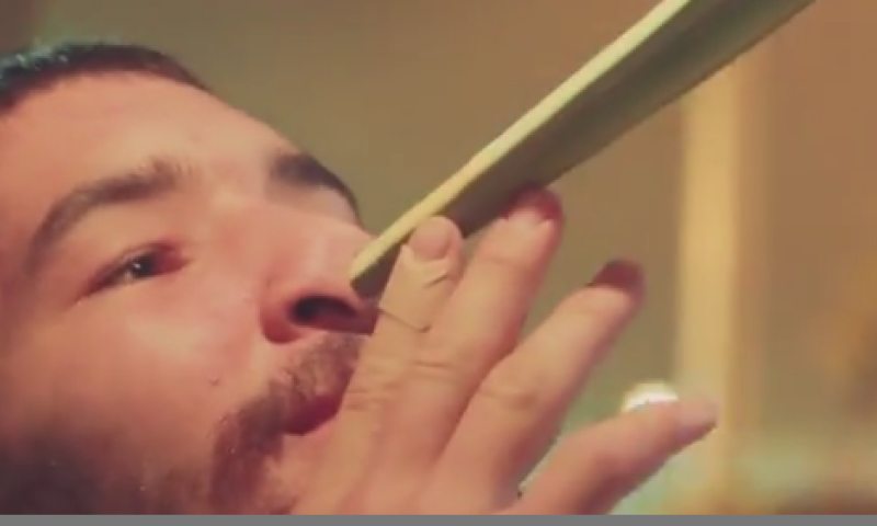 חוויות משוק ארבעת המינים במחנה יהודה