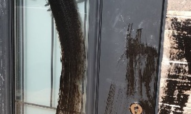 רגע לפני שנחנך- המקווה המפואר הושחת