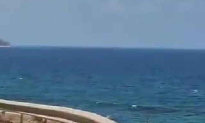 בלבנון טוענים: צה"ל "חטף" דייג שהתקרב לגבול הימי