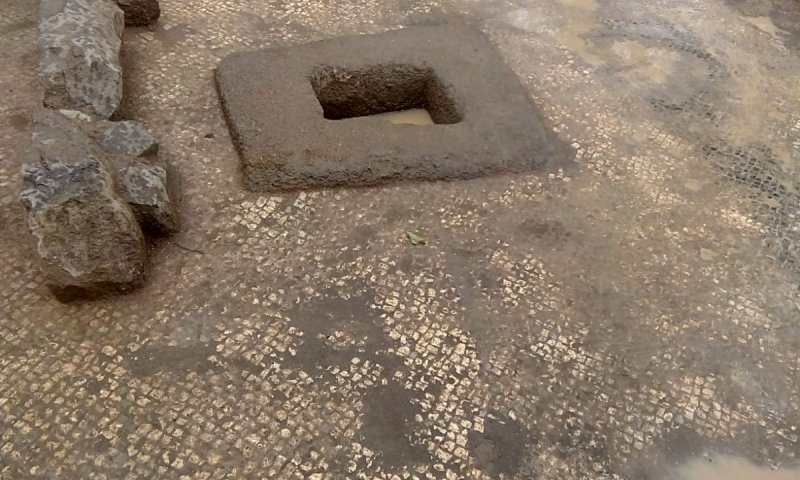 מרהיב: גת מעוטרת ברצפת פסיפס התגלתה בצפון