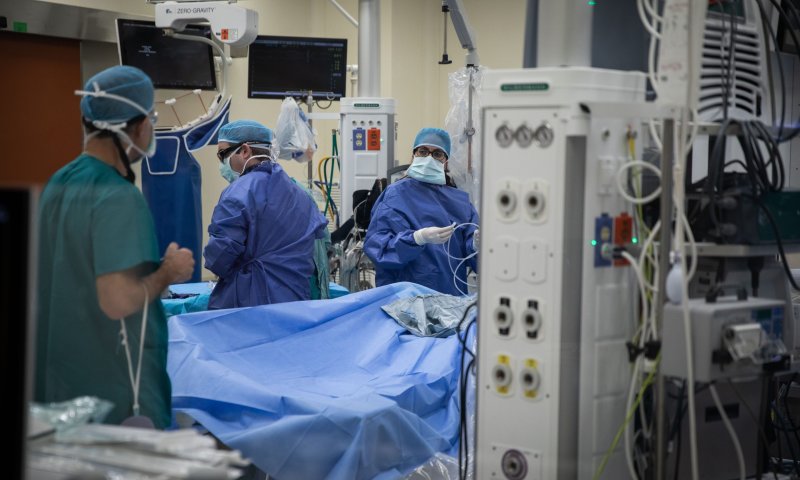 ניתוח חדשני מציג: השתלת אלמוגים לשיקום הסחוס