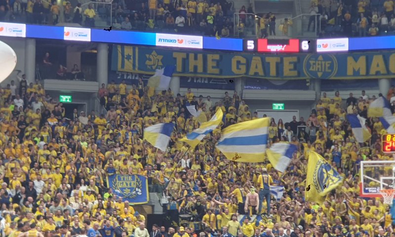 יעלו לפיינל פור? מכבי ת"א במשחק על עונה שלמה