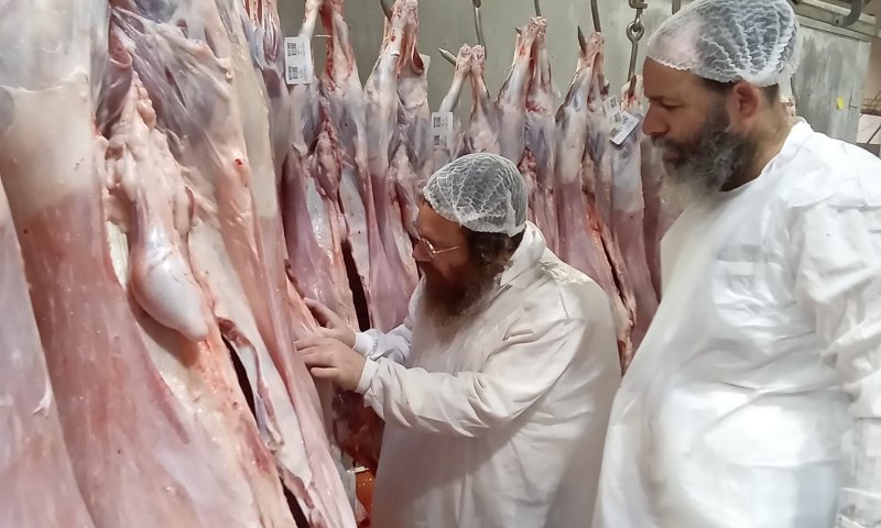 בדיקת הפתע מעידה: הקפדה הלכתית חסרת פשרות במשחטת ה"בשורה"