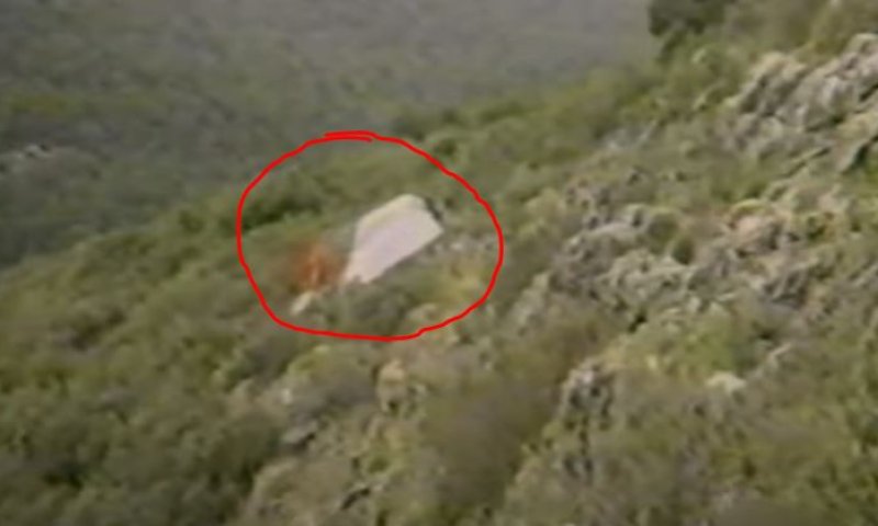 מה קרה לרון? צפו: רגעי הדרמה של חטיפת רון ארד