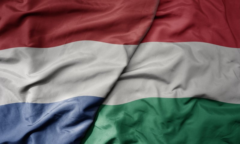 באמצע המשחק: עוזר מאמן הונגריה חטף התקף לב