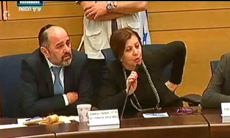 "סרסורית של מחבלים": עימות מכוער בכנסת; צפו