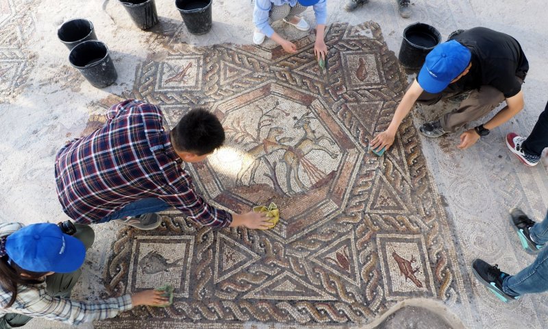 פסיפס מרשים מתקופת התלמוד נחשף בלוד