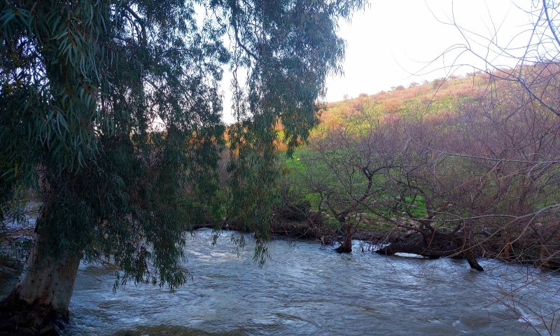 לאחר סימני הזיהום: איכות המים בנחל המוכר תיבחן