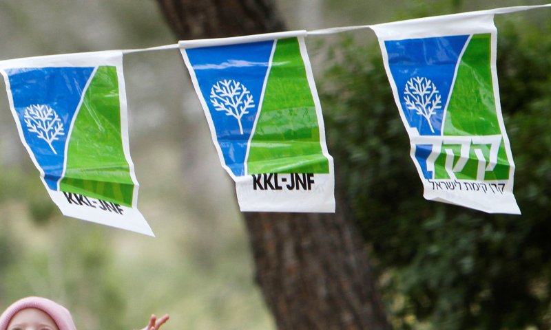 הממשלה אישרה את הלאמת קק"ל; אריאל התנגד