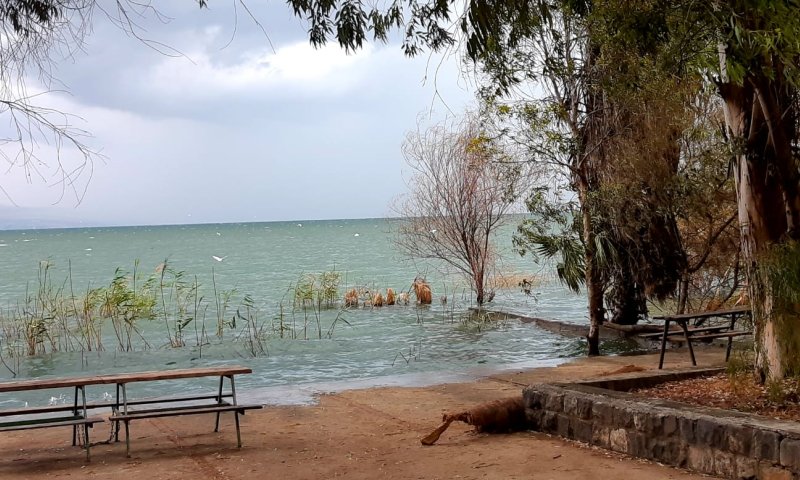 מפלס הכנרת עלה ביממה האחרונה בחצי ס"מ