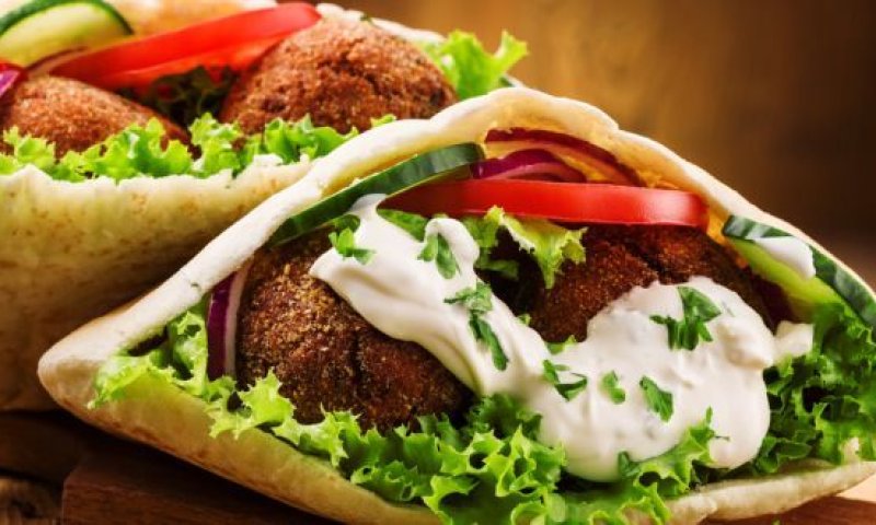 כך תצטרפו למבצע דוגו בלי לצאת מהבית