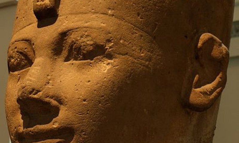 פרשת מקץ: למה פרעה לא חשב על הפתרון לבד?