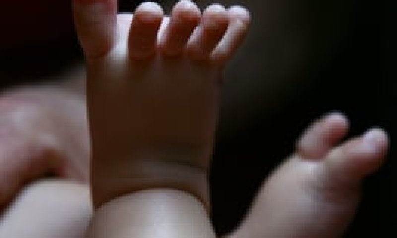 הטור של חיים ולדומירסקי ב"עולם קטן": החלפנו רכב