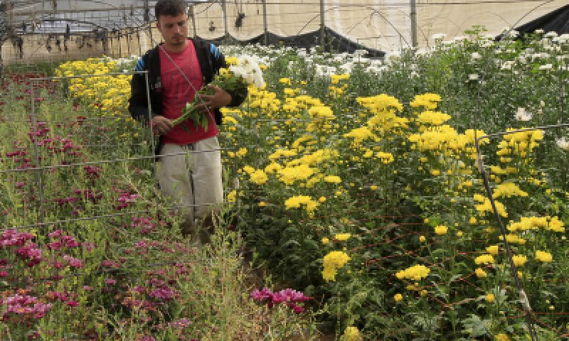 כאן צומחים מנהיגים: רגבים &ndash; ישיבה תיכונית חקלאית
