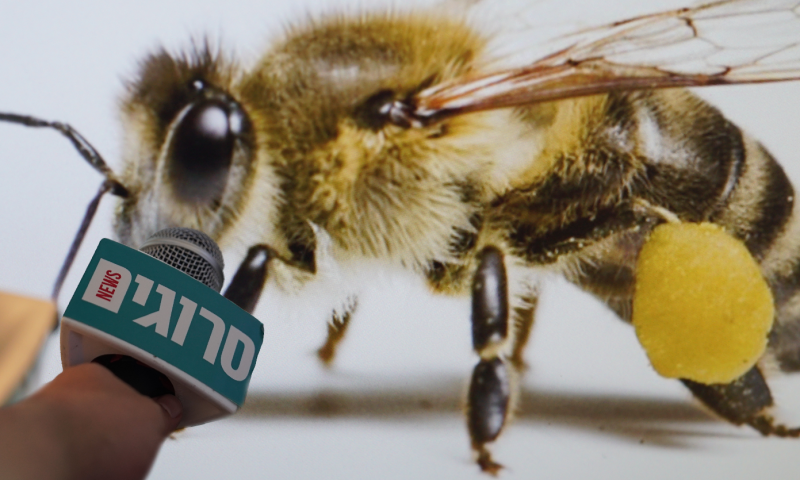 בלעדי: ראיון חג מיוחד לראש השנה עם דבורה