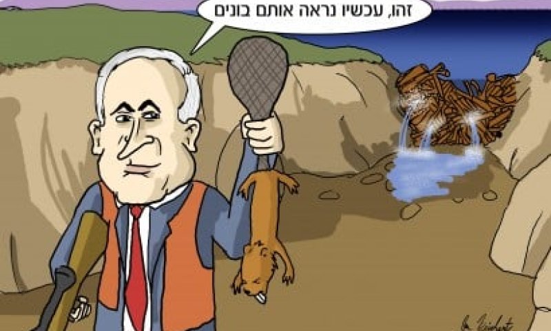 הקריקטורה היומית של אור רייכרט: ביבי-בונה והורס